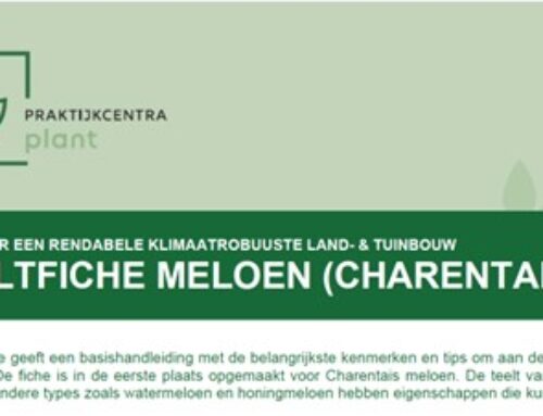 Infofiche over teelt en bewaring van Charentaismeloen beschikbaar op website